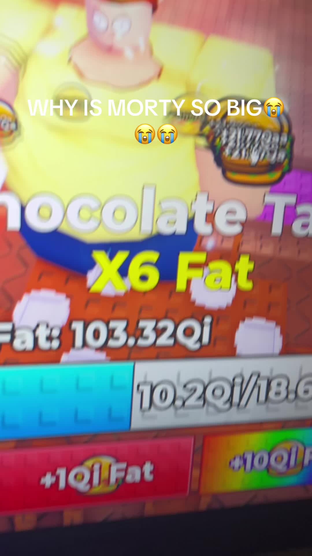 @dzxrek