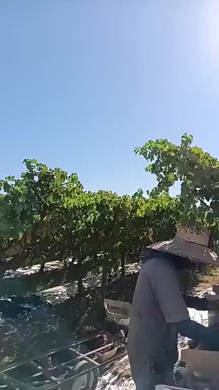 @Daniel Altamirano