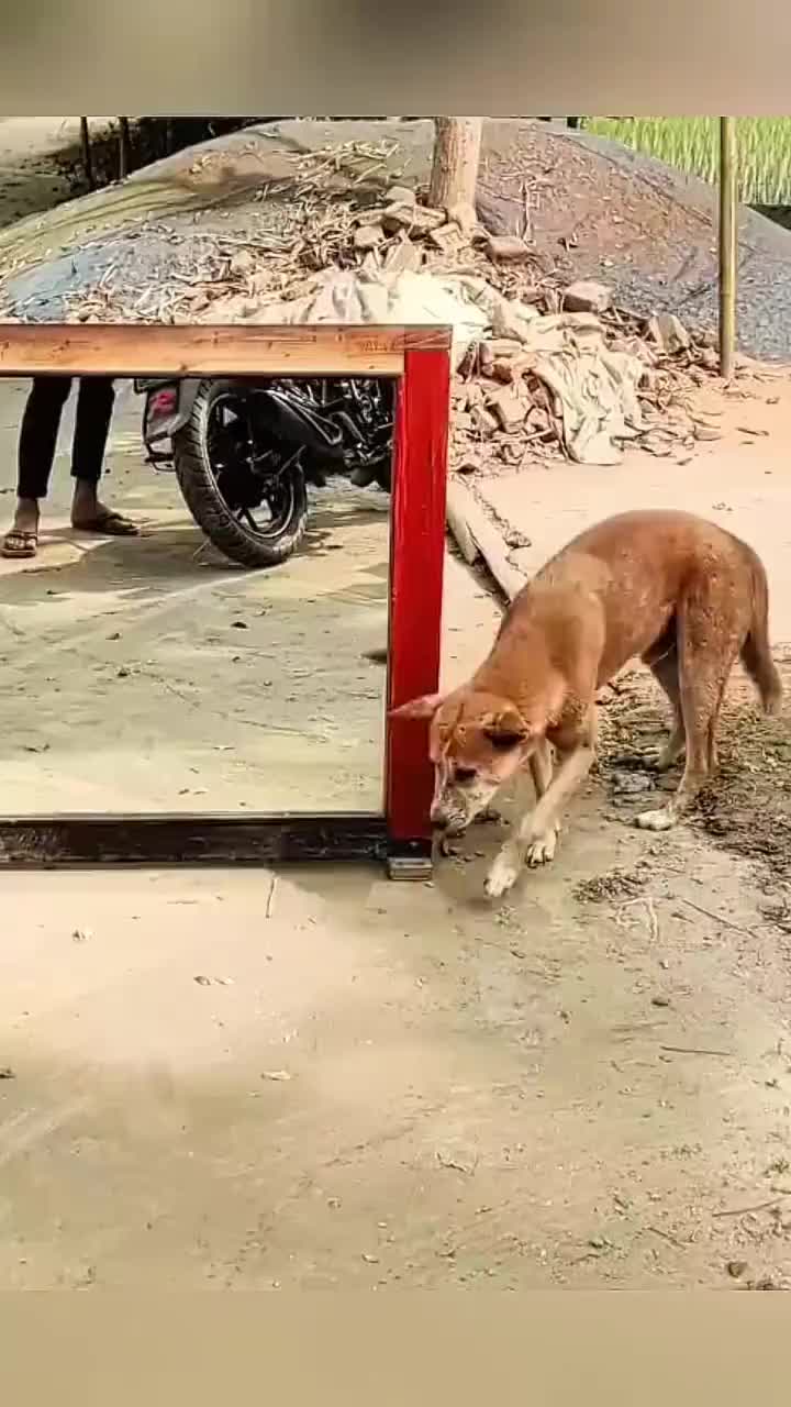 @Funny Boy😂🤣