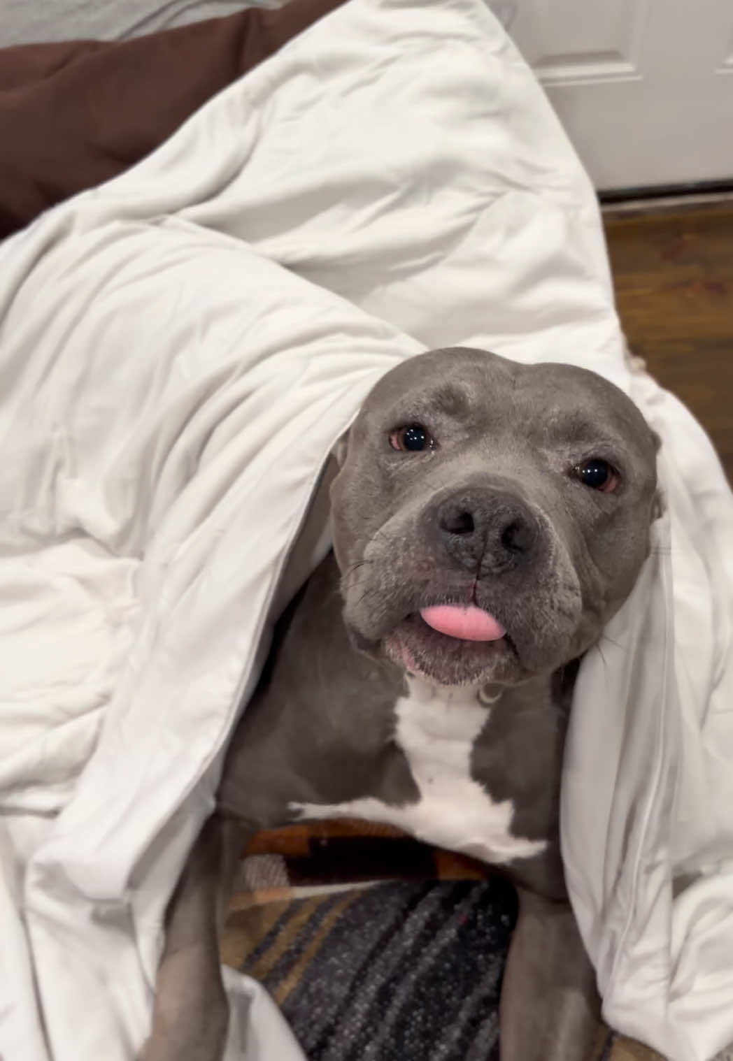 @Emookitkats