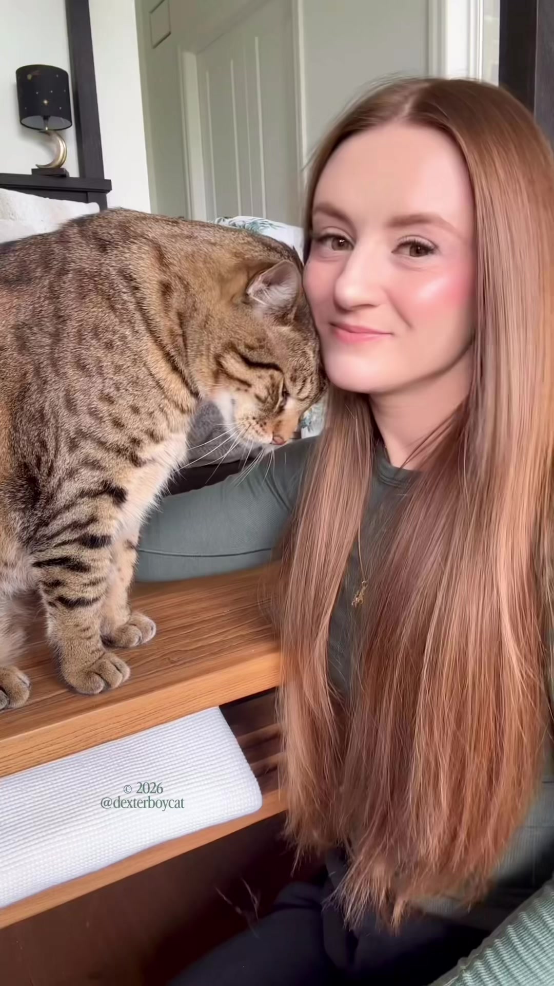 @dexterboycat 🐆♥️