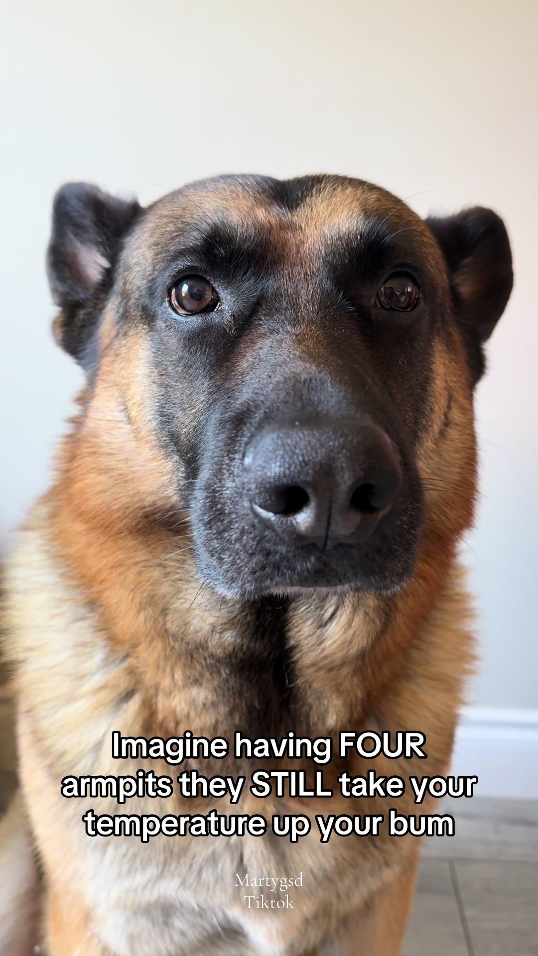 @Martygsd