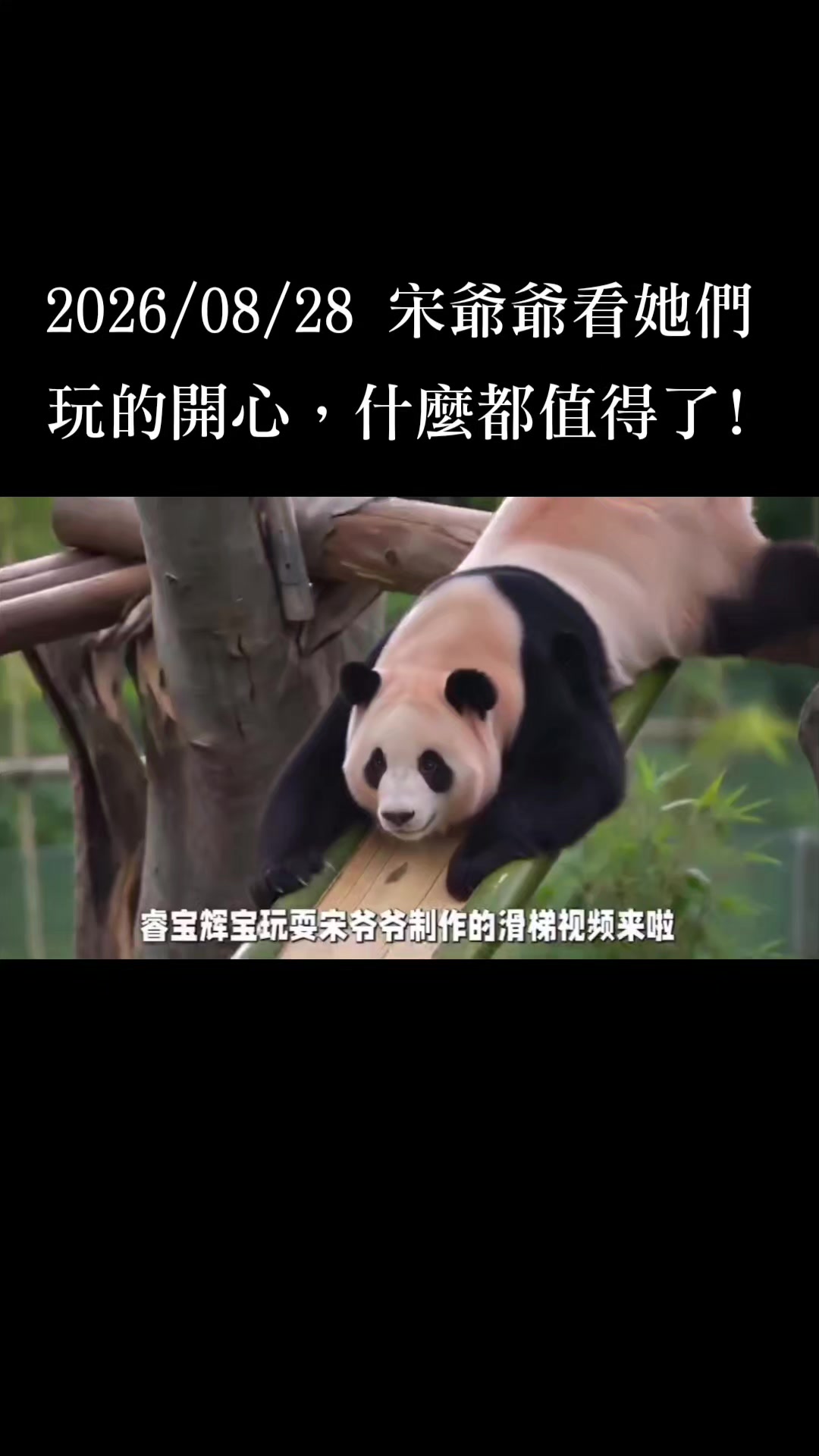 @福寶需要愛的抱抱