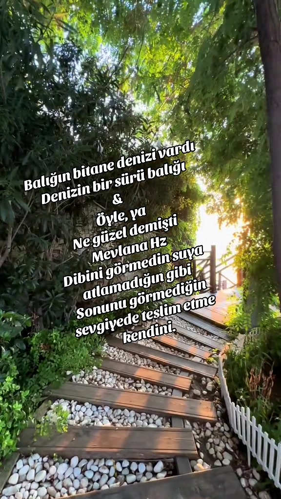 @💙🤍DADAŞ KIZI 25💙🤍