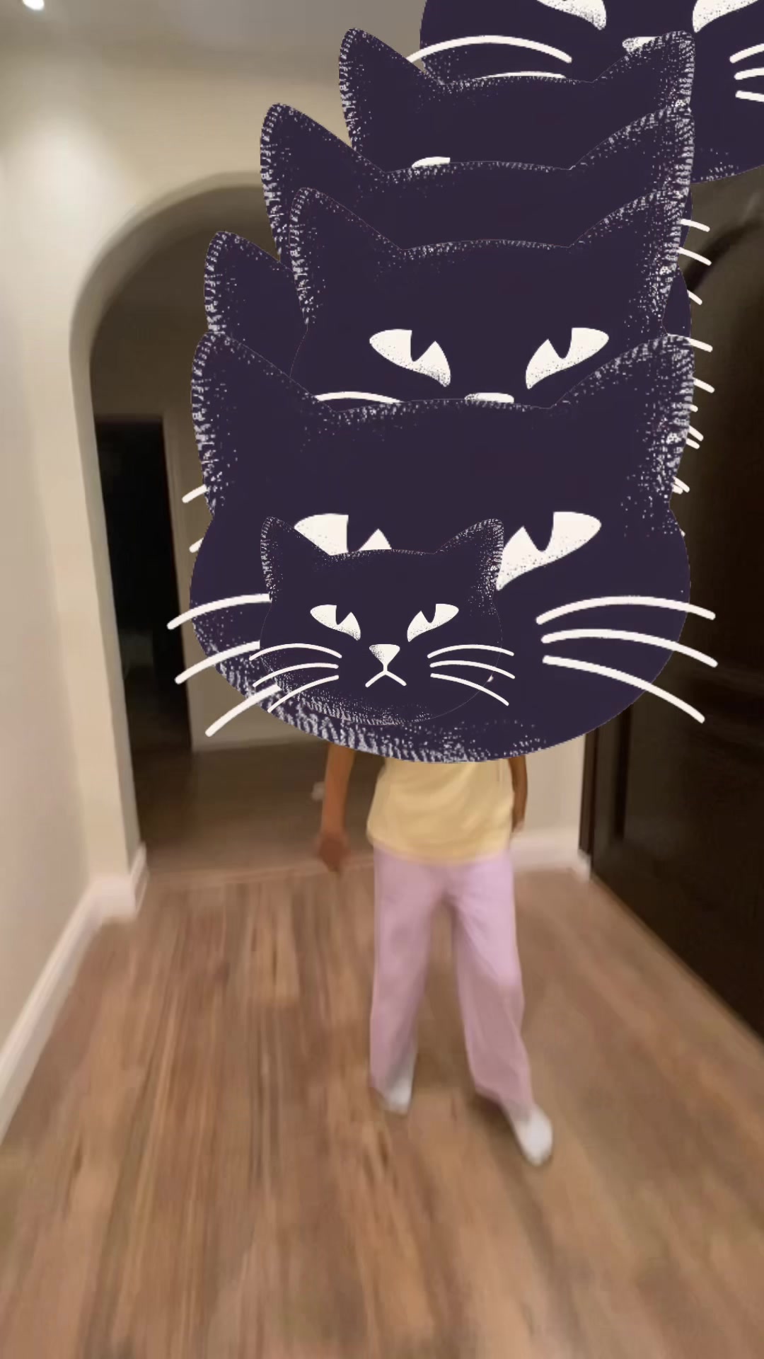 @โ๐ถ๐๐ถ๐