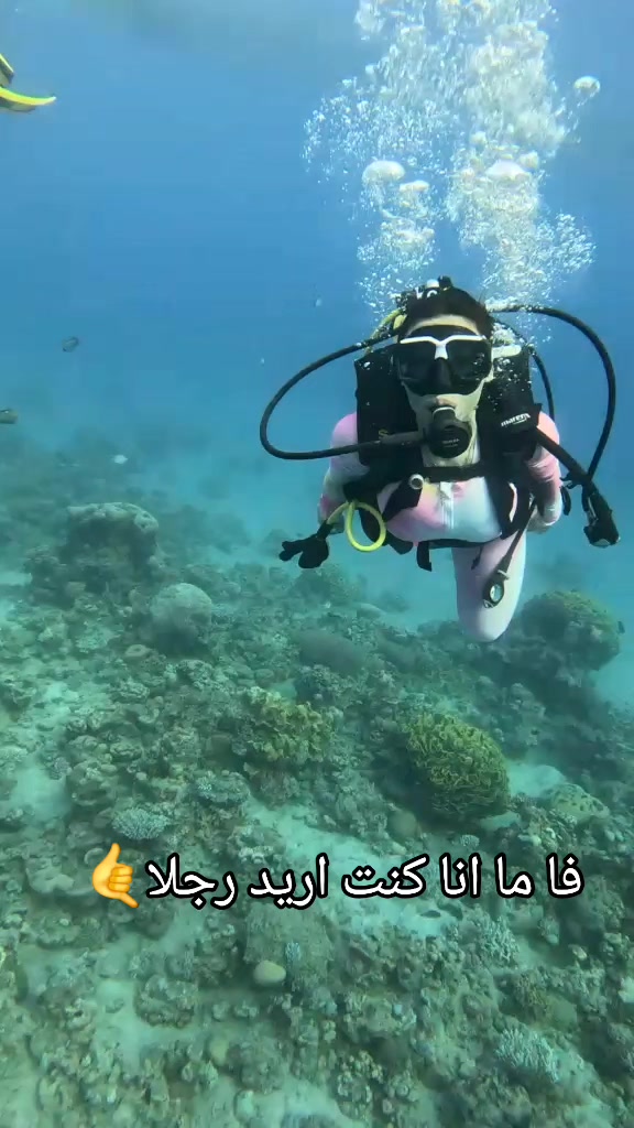 @๐ธ๐พ ๐ฆ
samraa๐ฆ
๐ธ๐พ