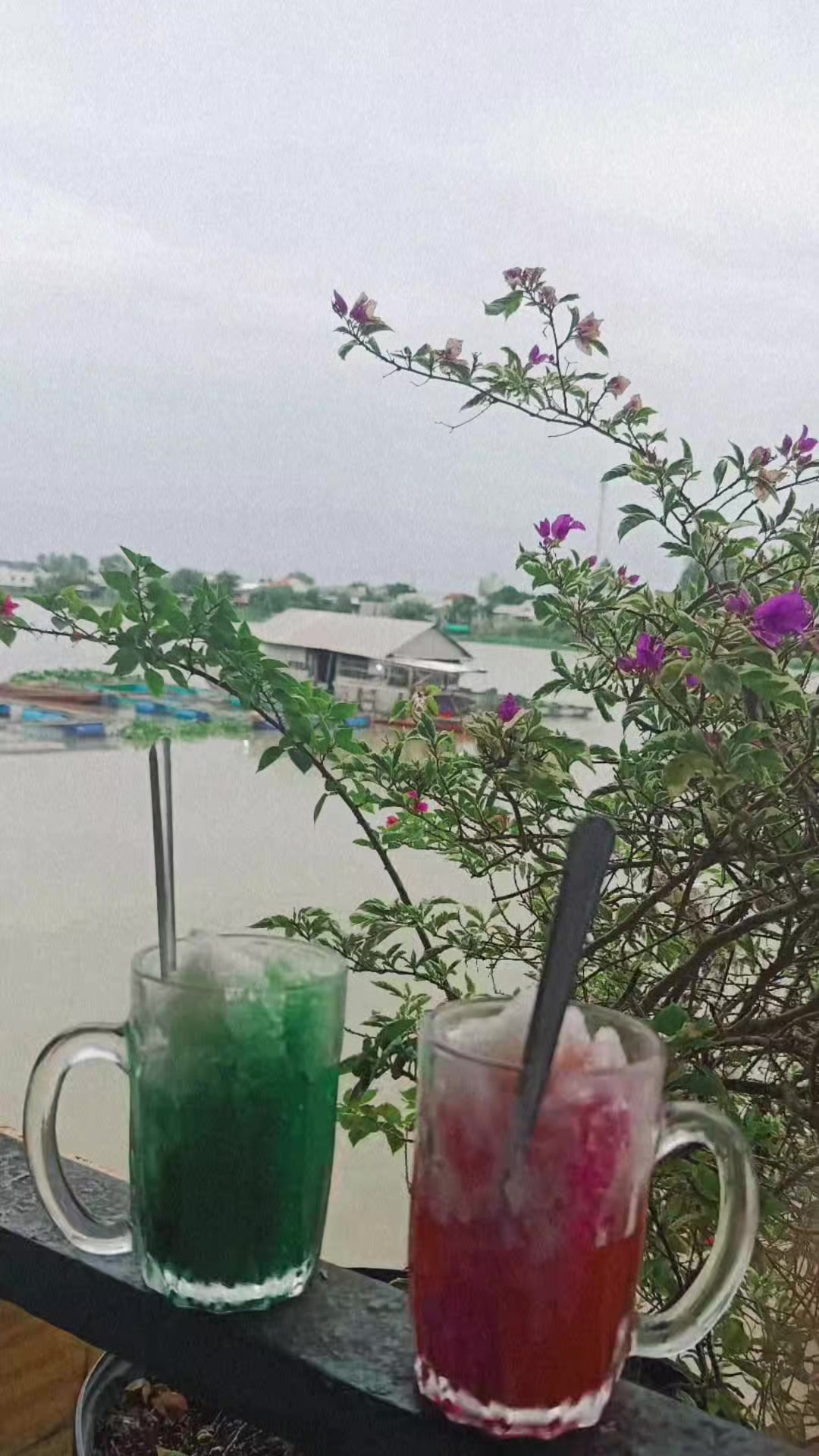 @Nhà Xe Tấn Tài An Giang