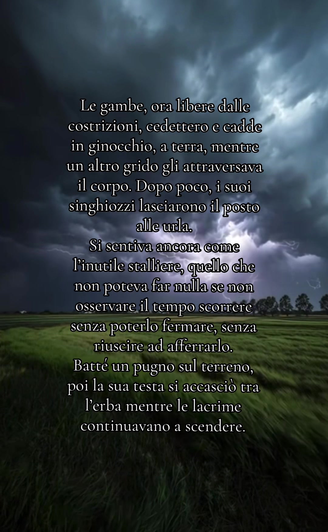 @Federica Porfirio