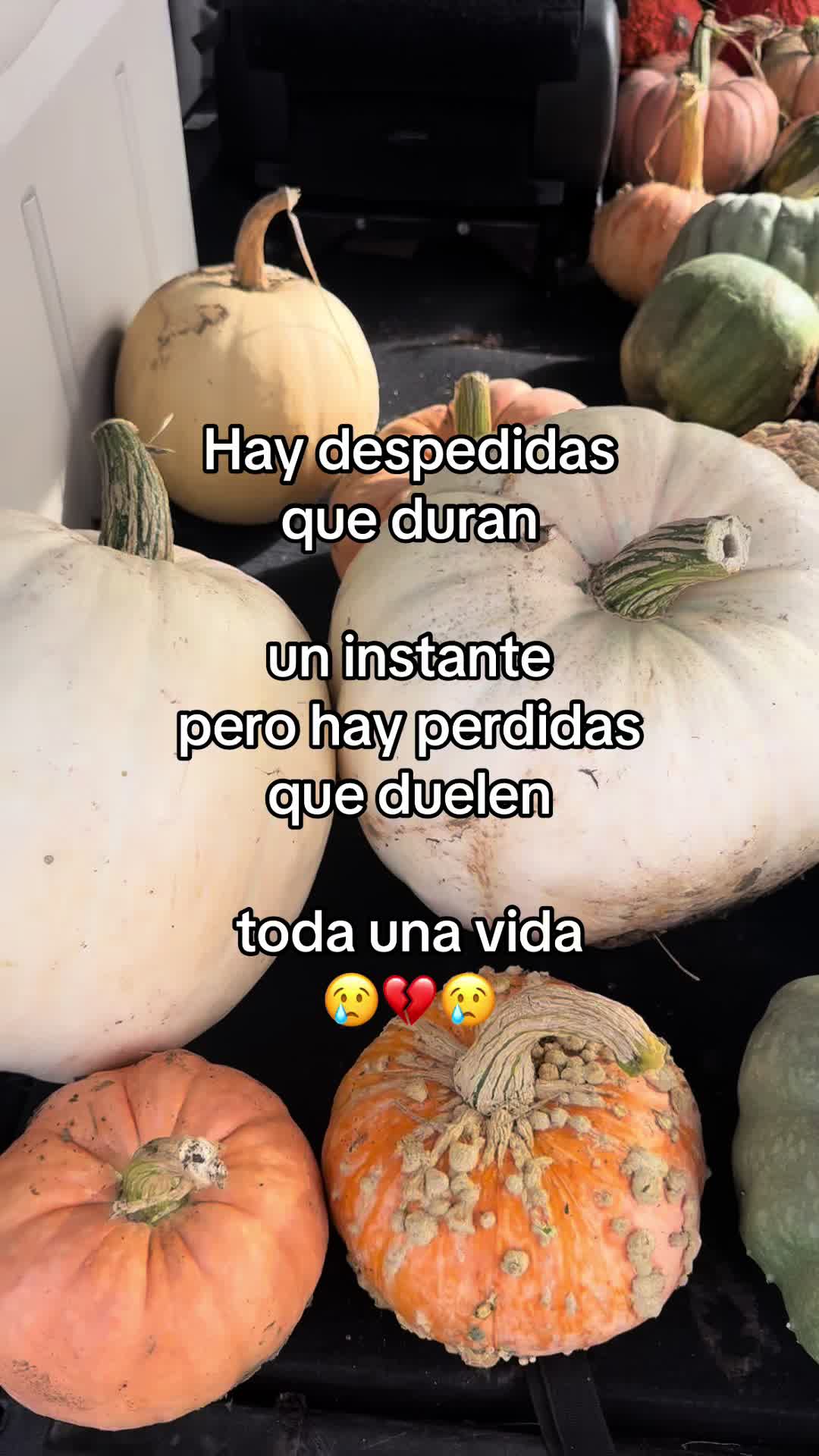 @🍓🪗✨pablocarbajal63⚜️👽🍓