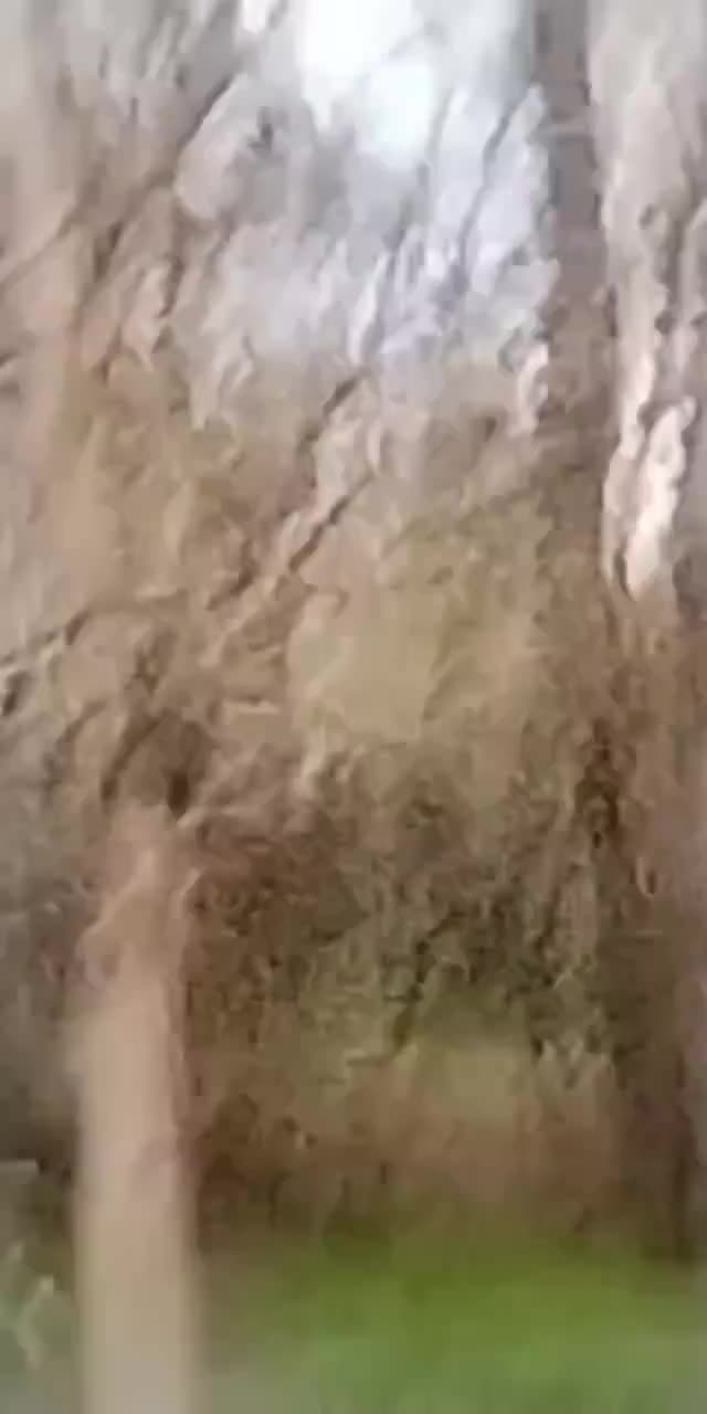 @MARIANOF_AL_NATURAL