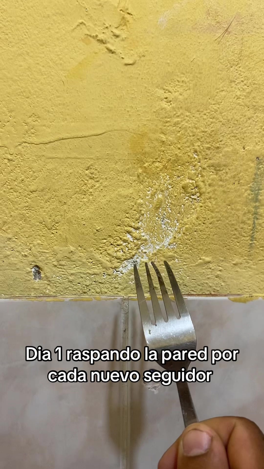 @Team Negro