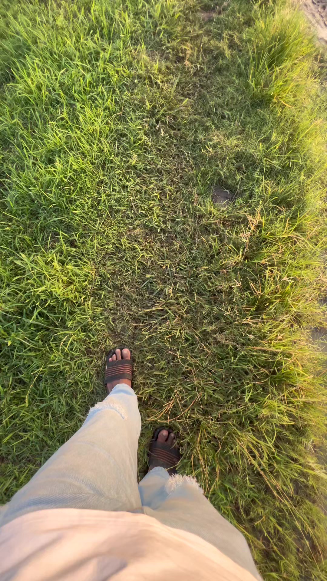 @BLACK_BOOM 🧃