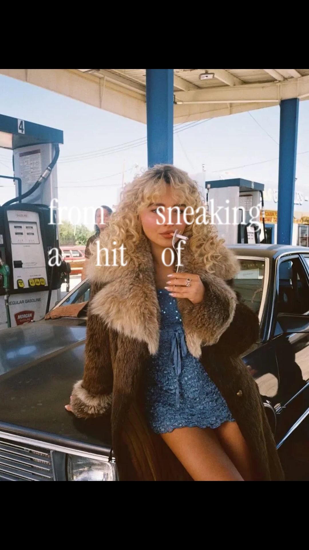 @🐆
