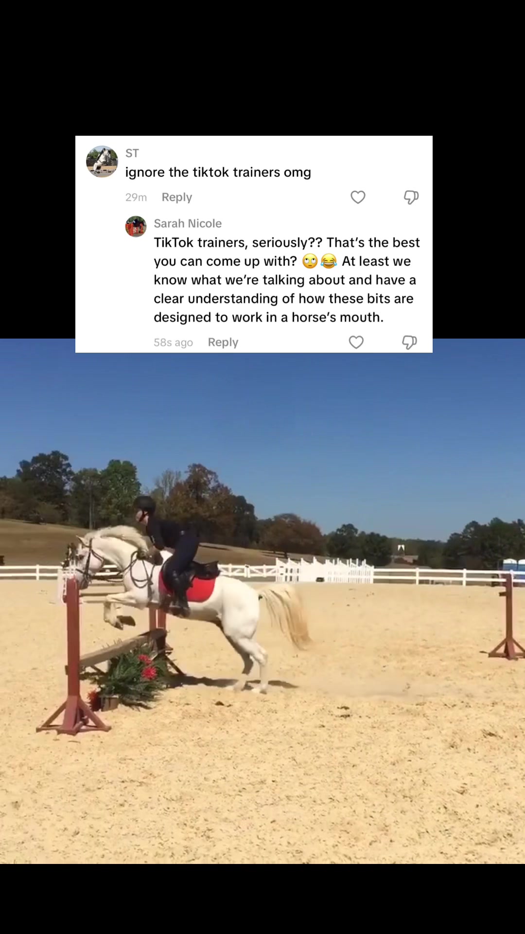 @Sarah Nicole