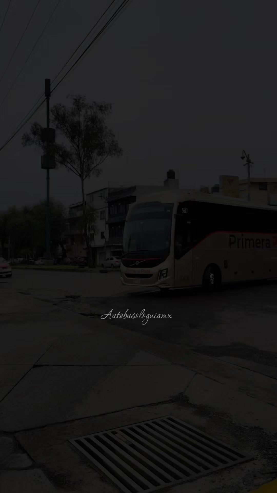 @🍁 " Autobusologuiamx " 🍁
