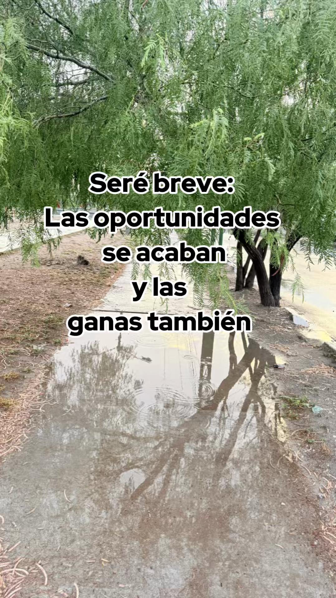 @Sol