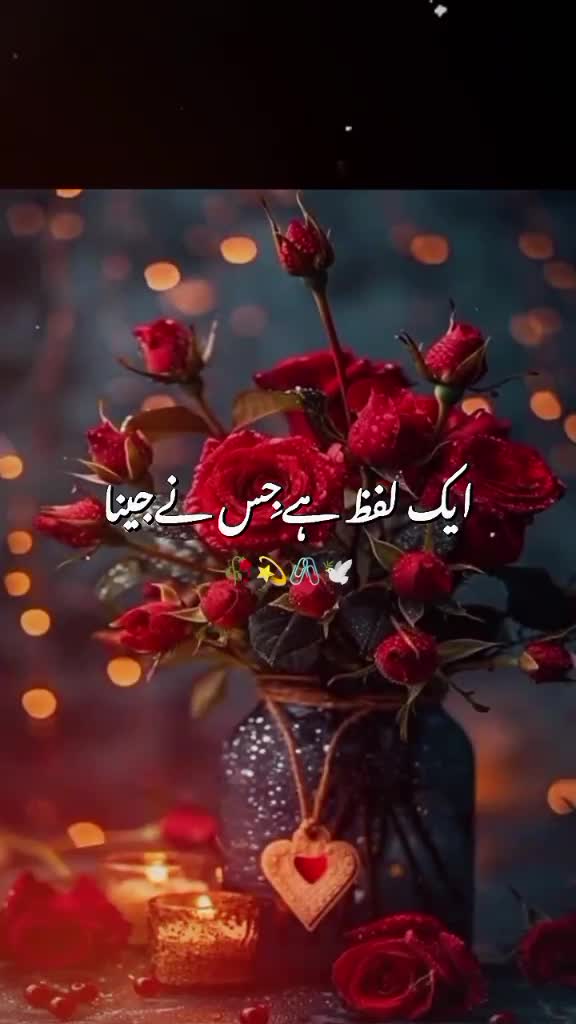 @NuranDar