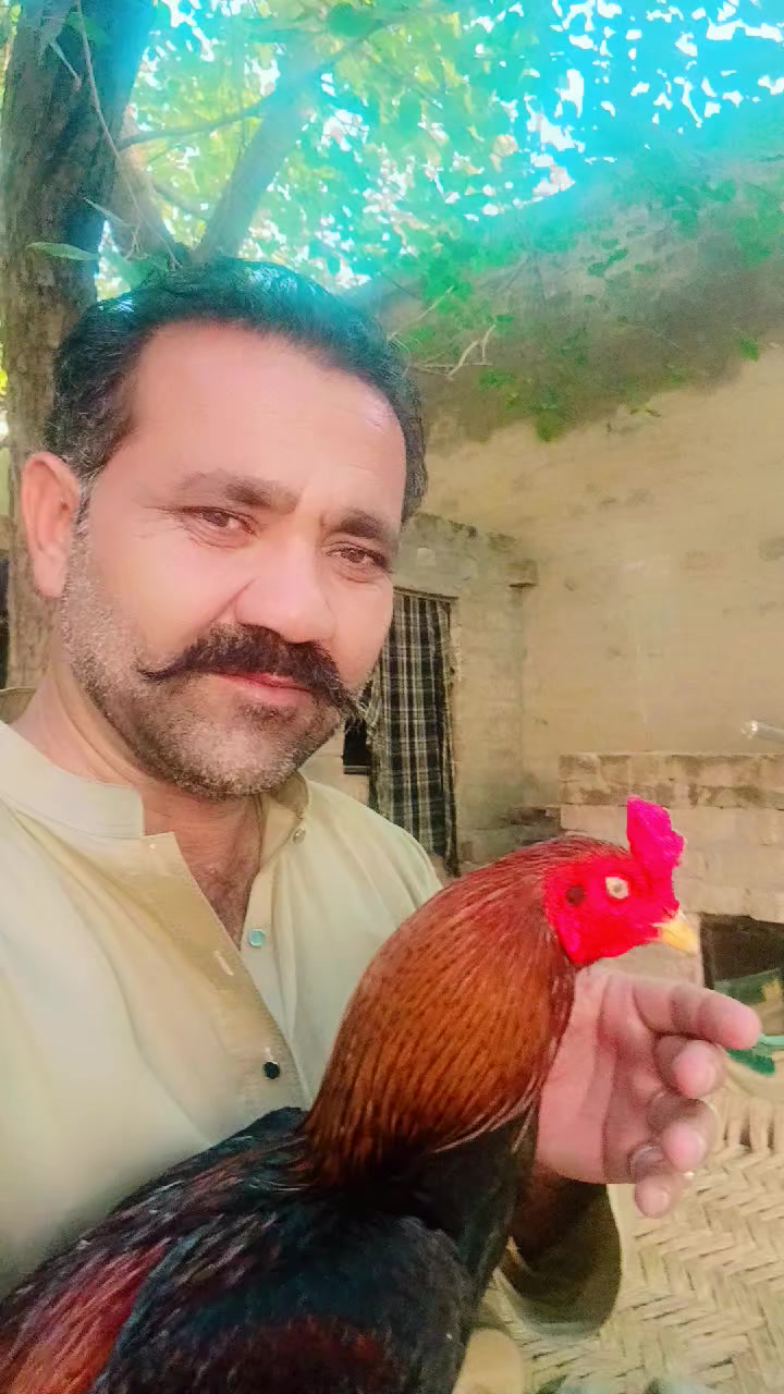 @عمران _خان_ وتہ خیل