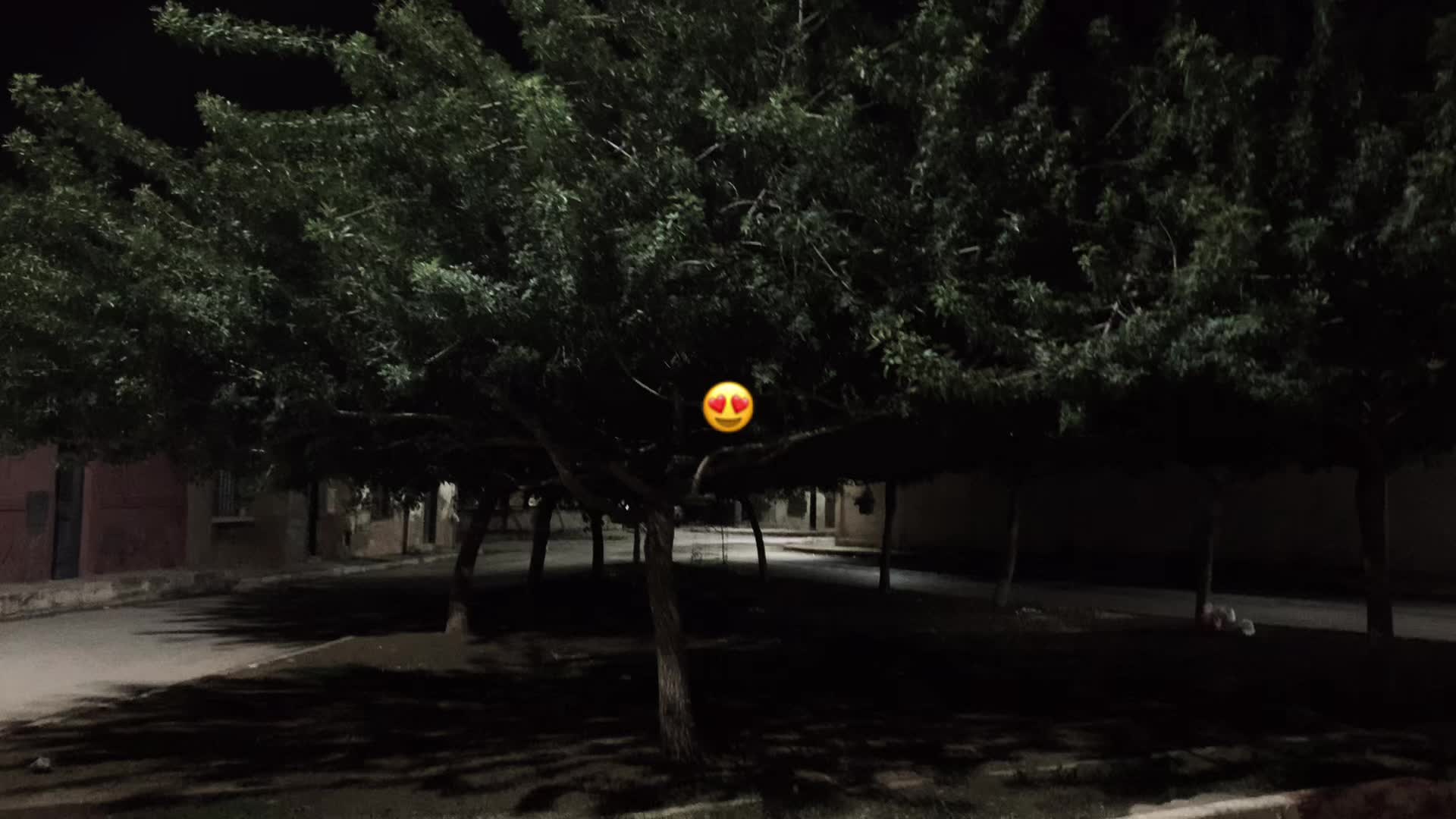 @abdkarim_🐊🫶🏻