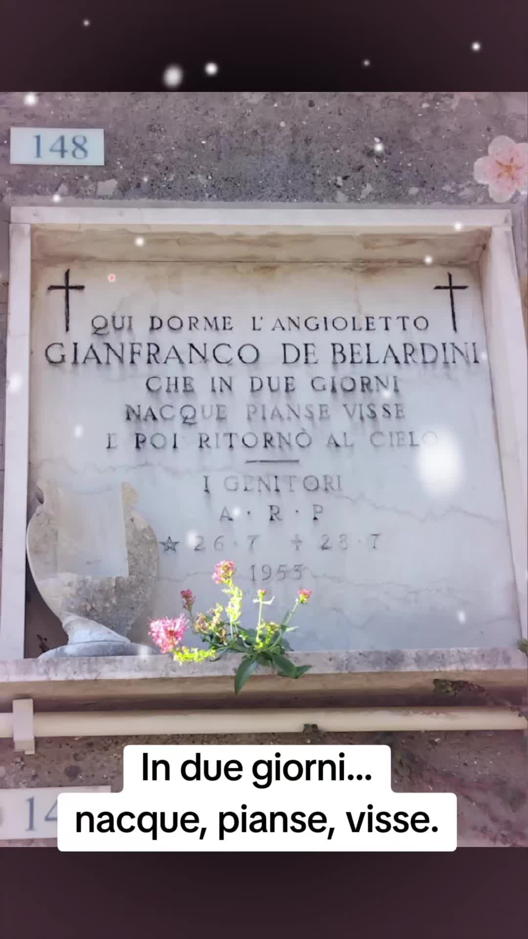 @antoniodotoli