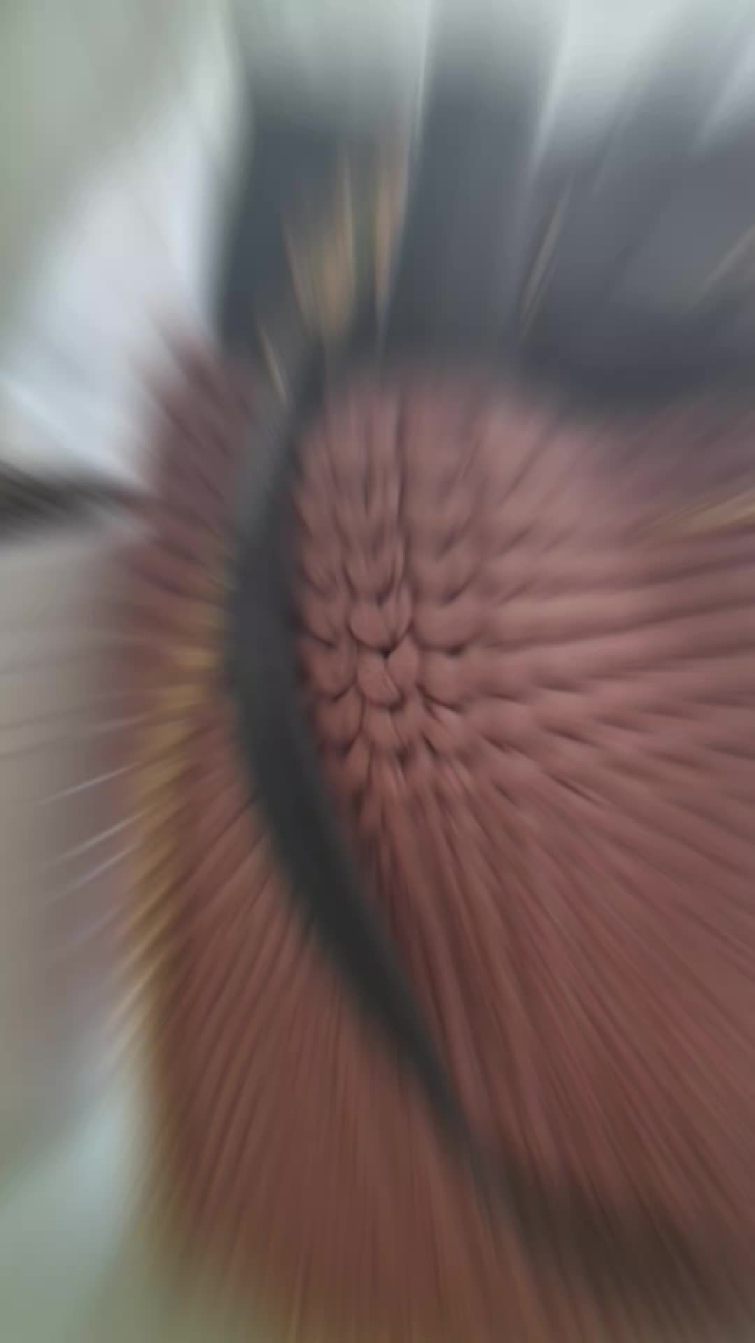 @Vania