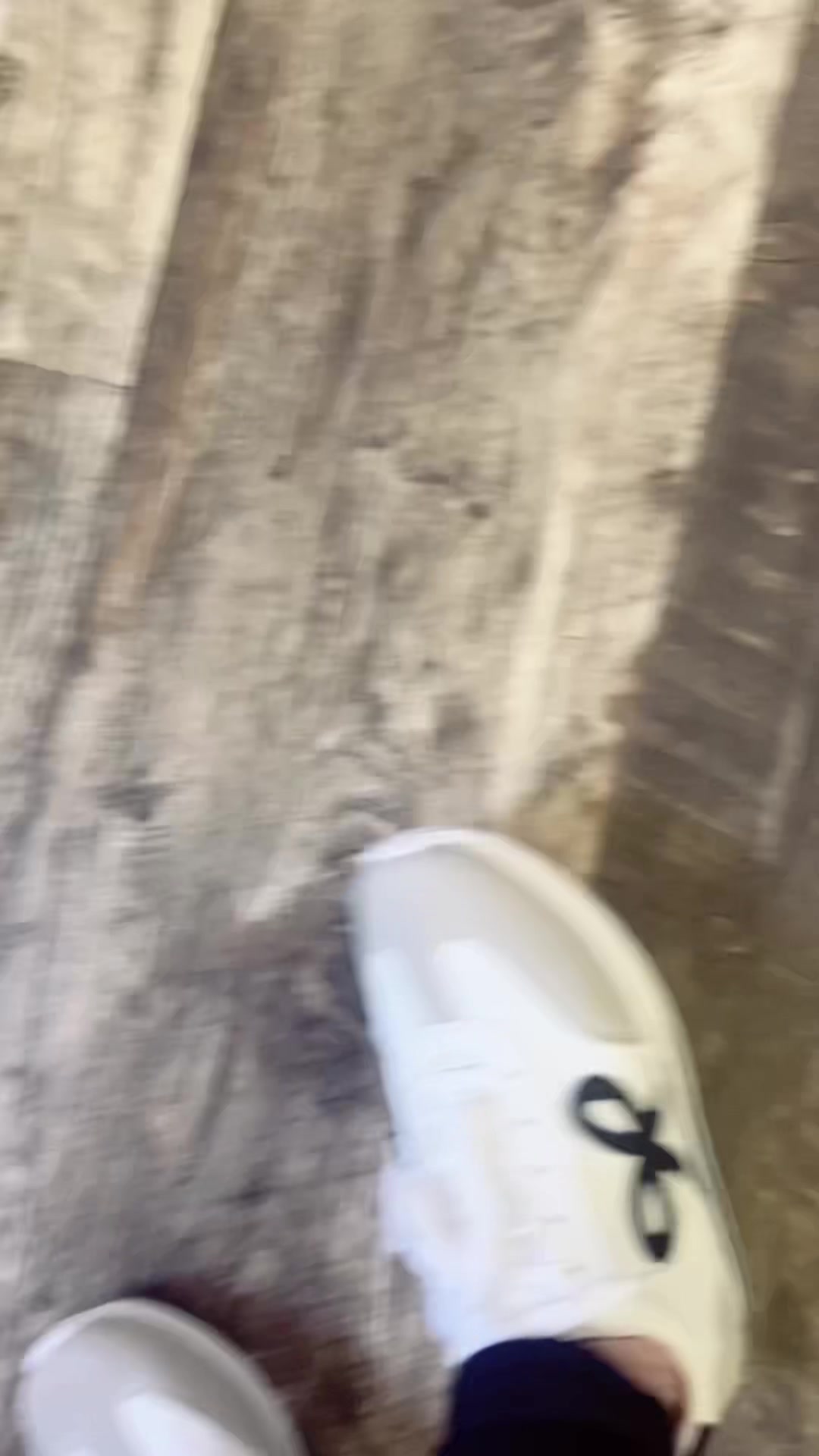 @tararoseb_80