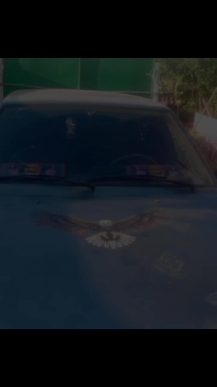 @Саша Волк