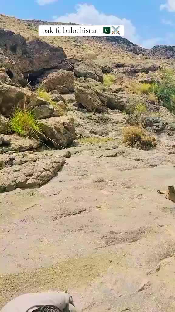 @mshahjahan110🇵🇰