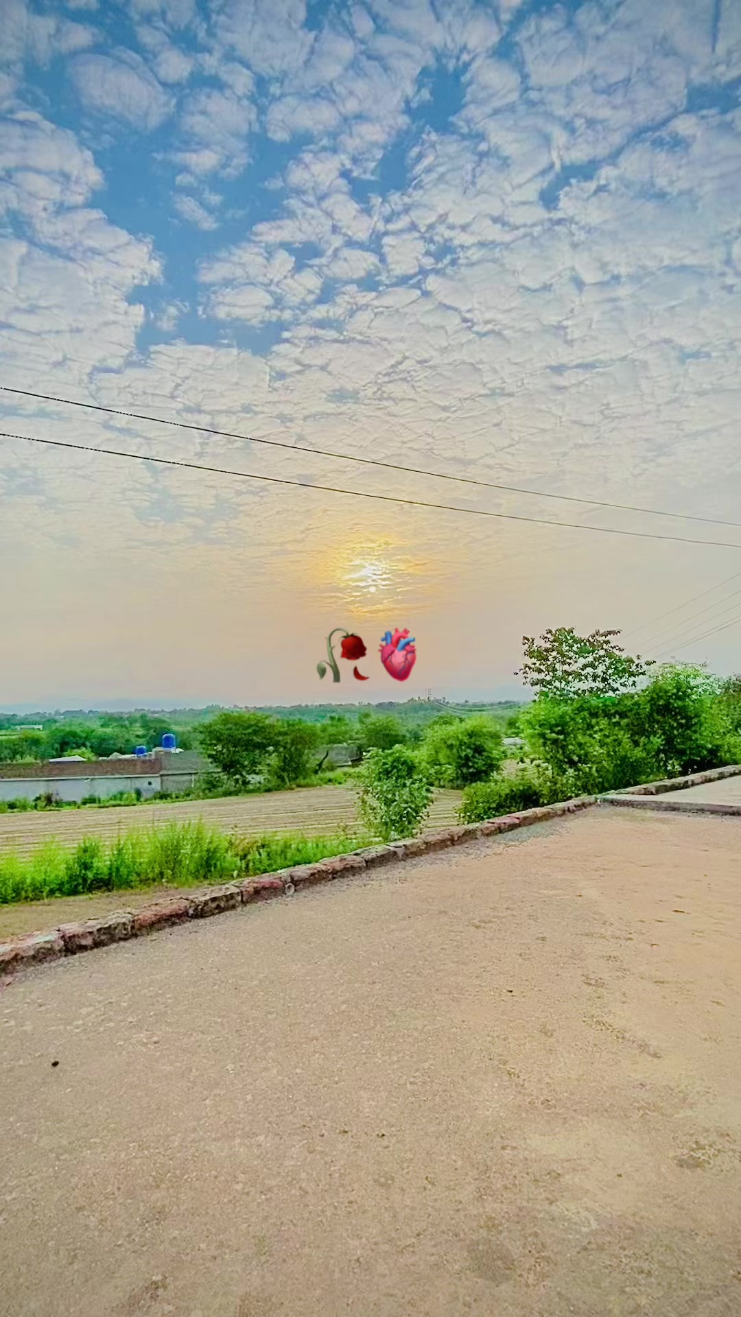 @🚩💕تنو لی صاحب💕🚩