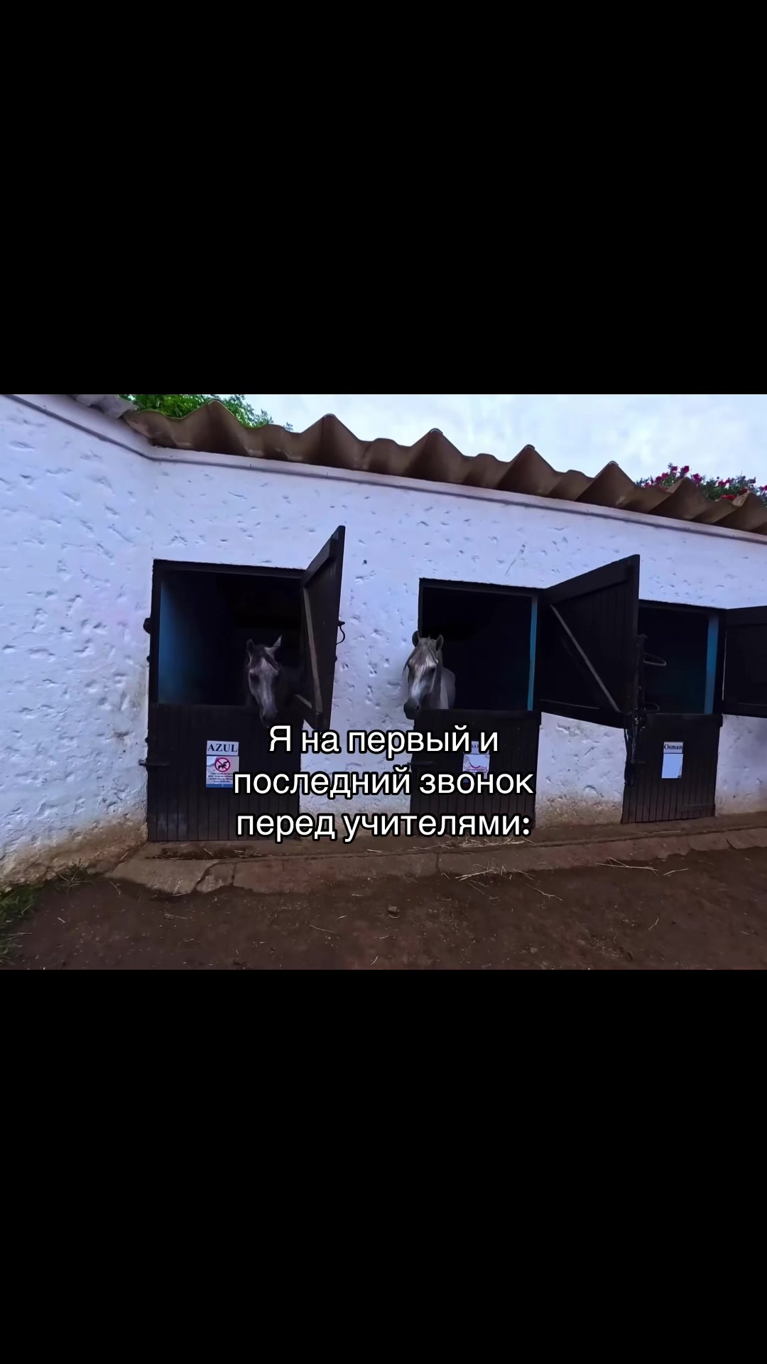 @𝘠𝘶𝘪𝘴𝘩𝘢