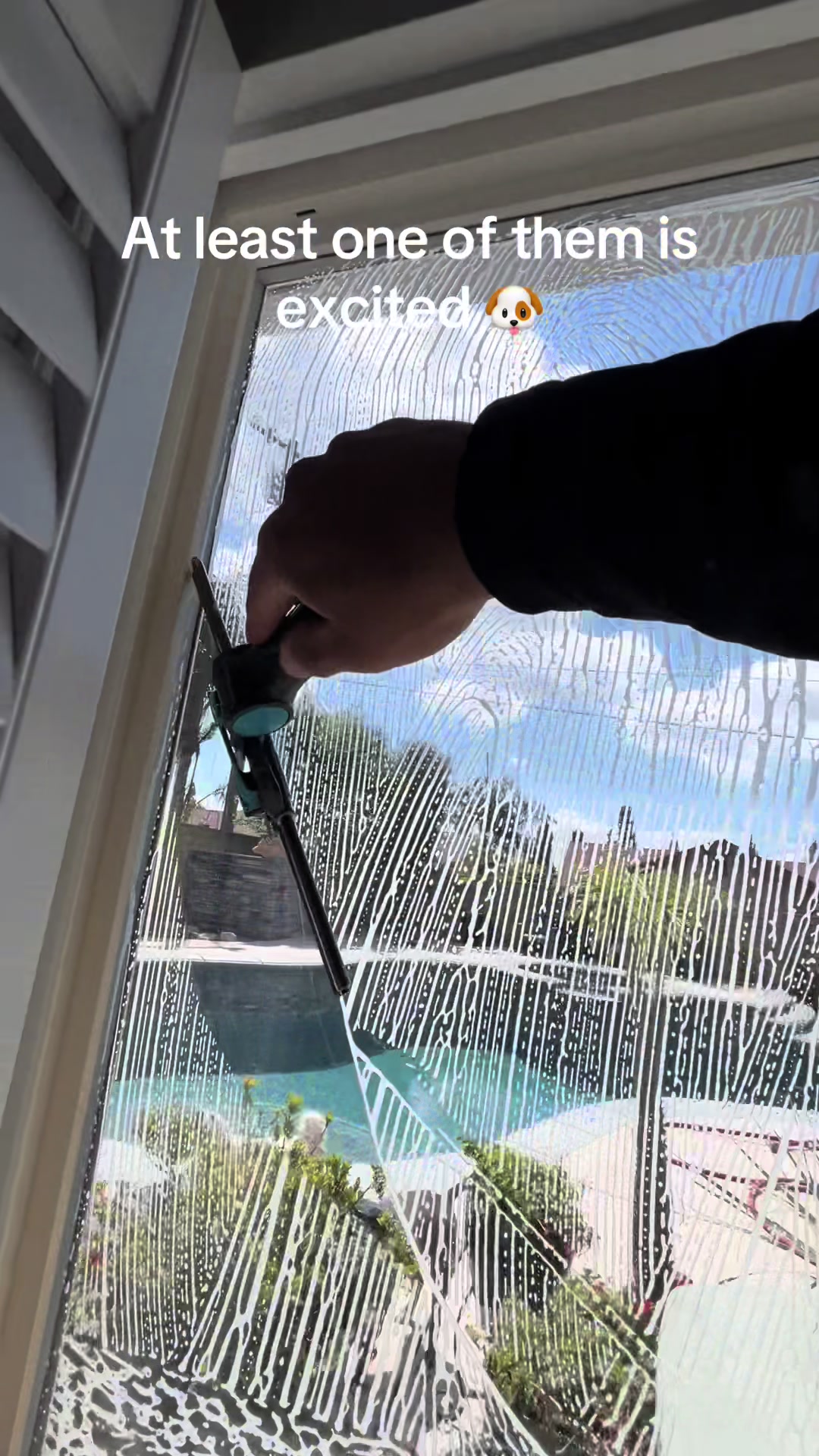 @luxprocleaning