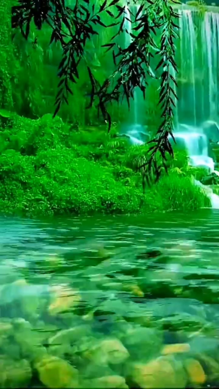 @Bakht Munir mohmand