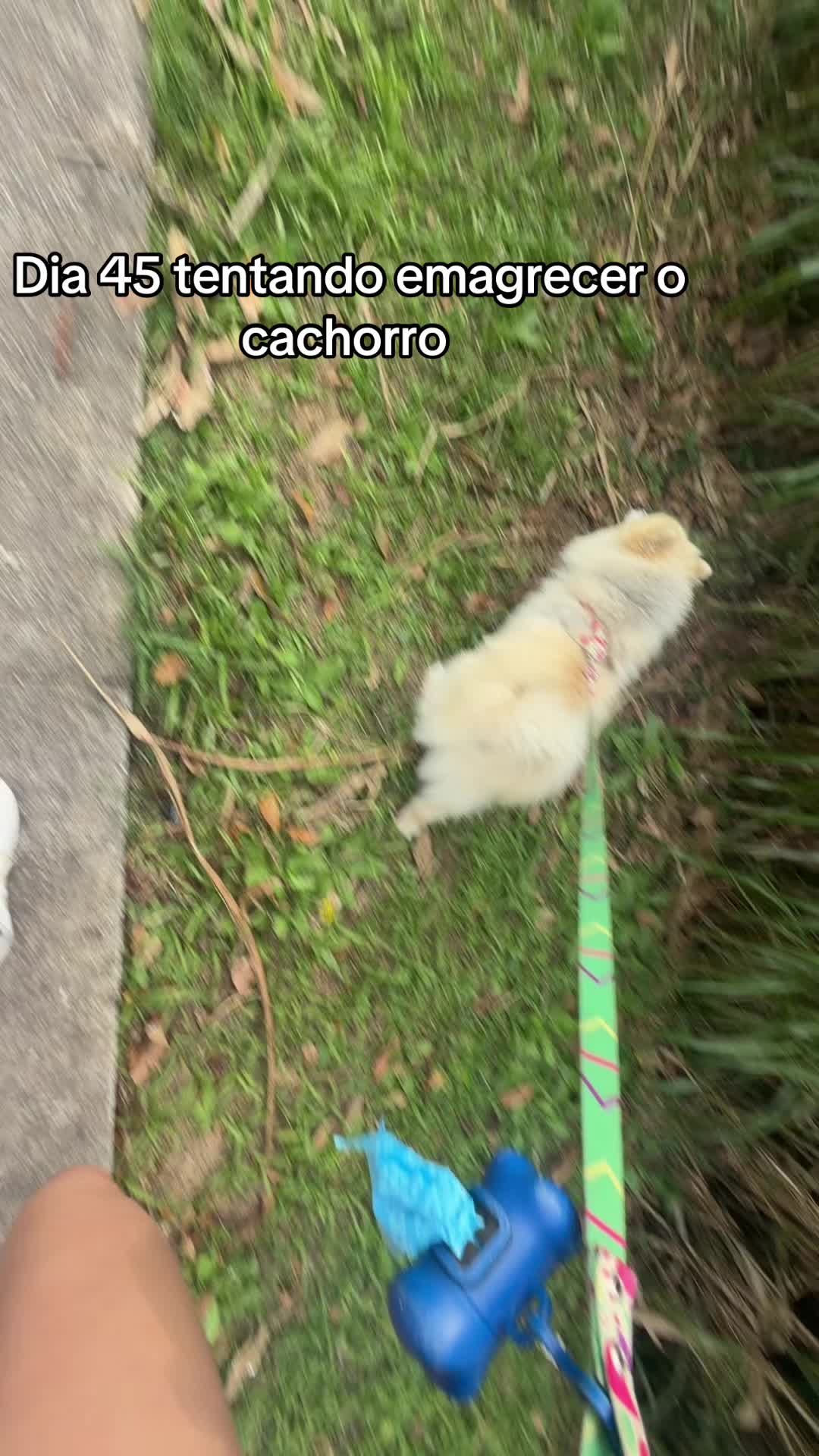 @Lo
