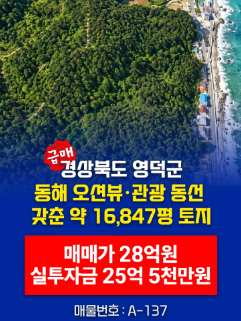 @부동산 전문가 박미란