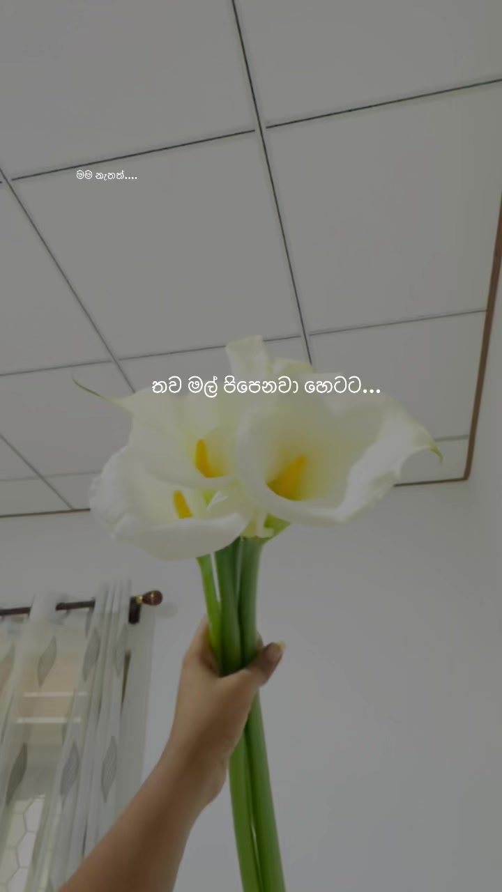 @Shehara Fernando