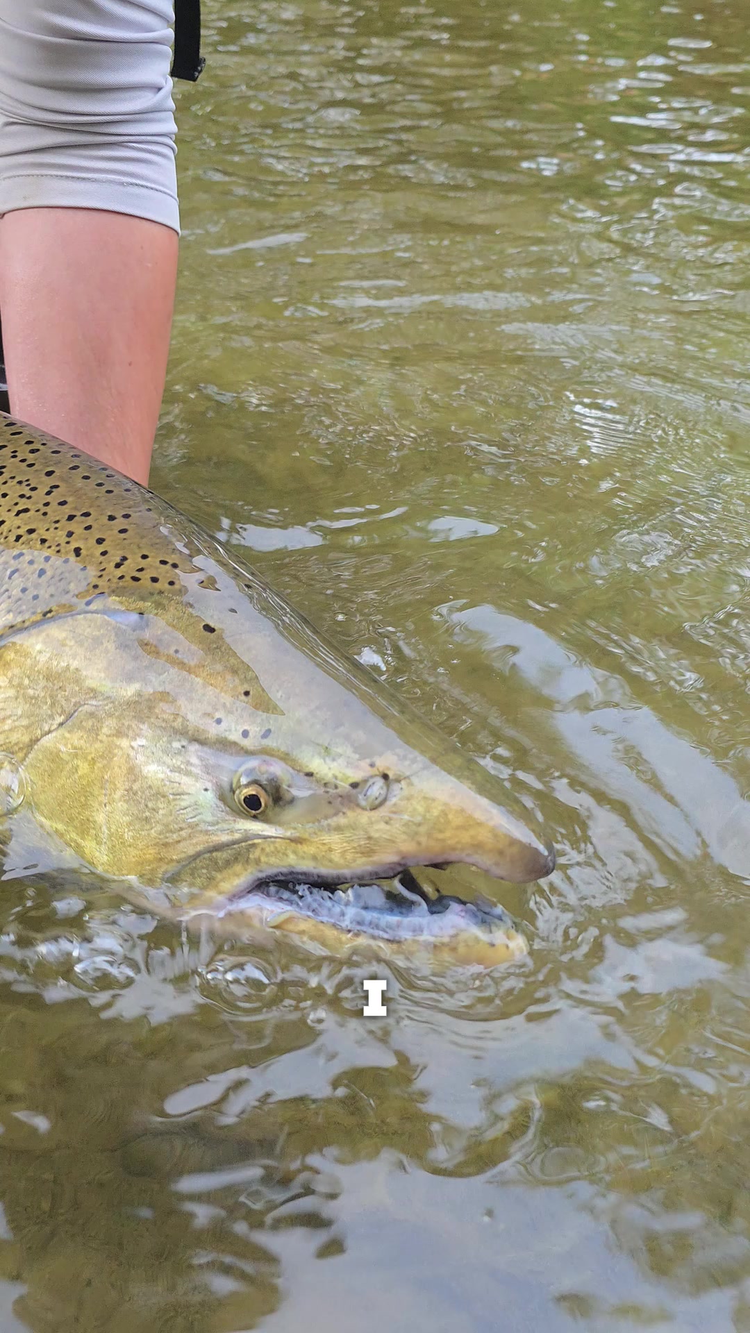@FishingParadise