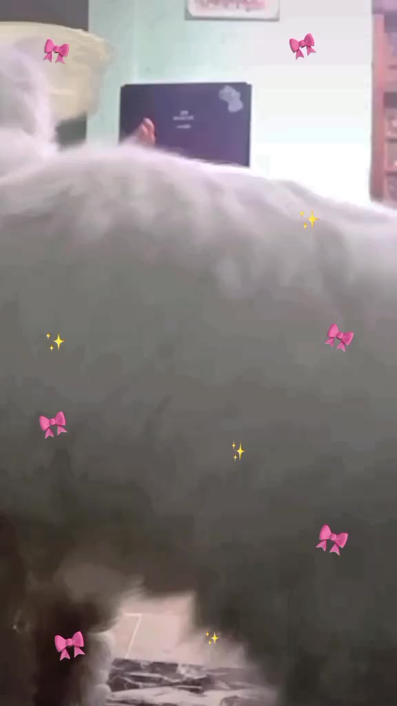 @C̆a𝔱𝔰 𝔴𝔦𝔱𝔥 N̆̈𝔬𝔬r̆̈❤️