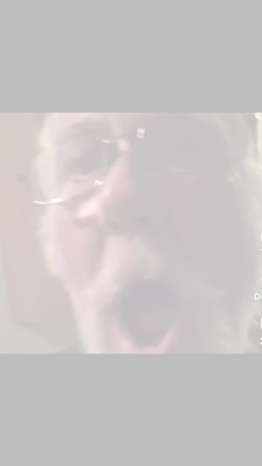 @HELLDIVER117