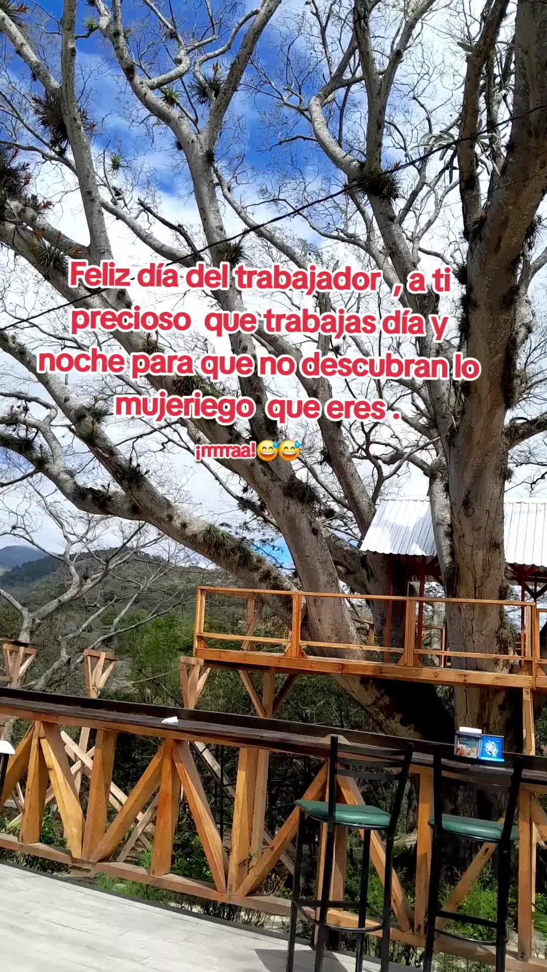 @Massiel .🌵.