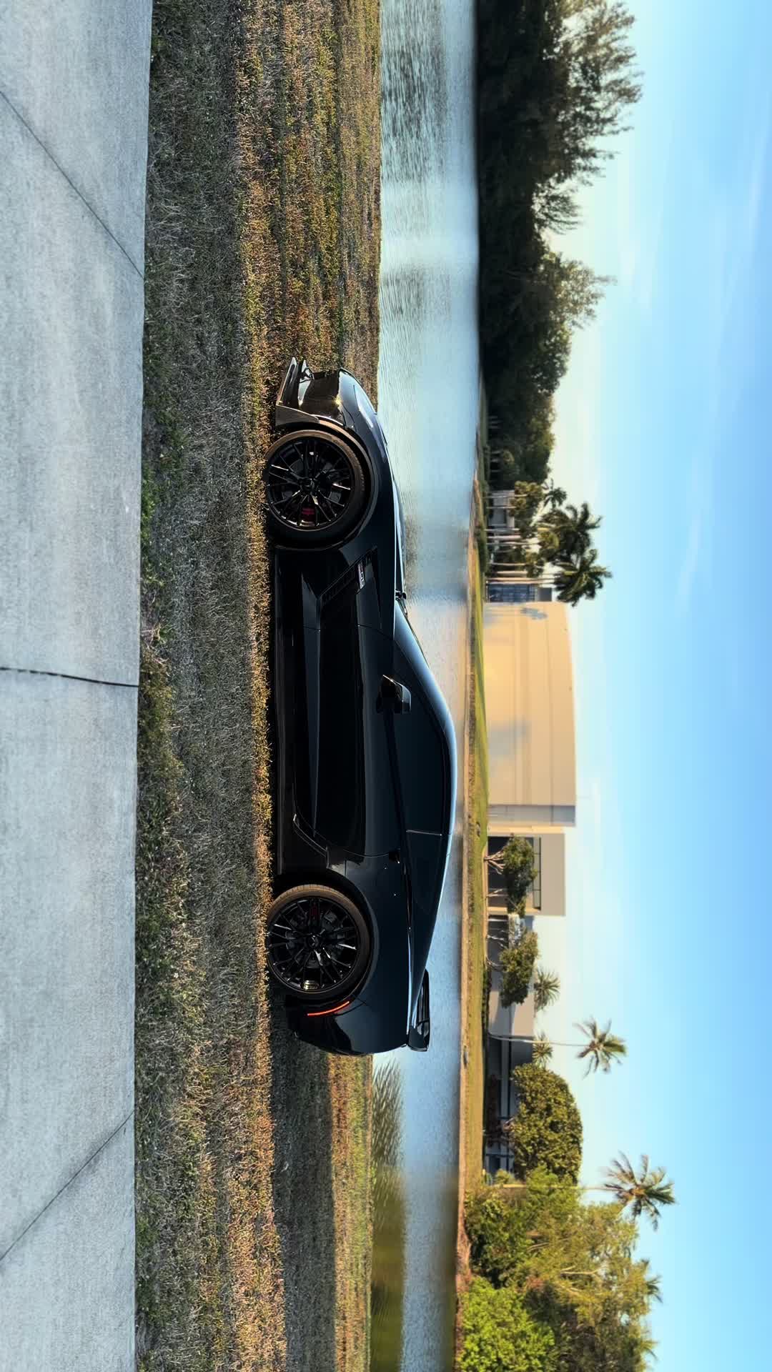@collier🦇