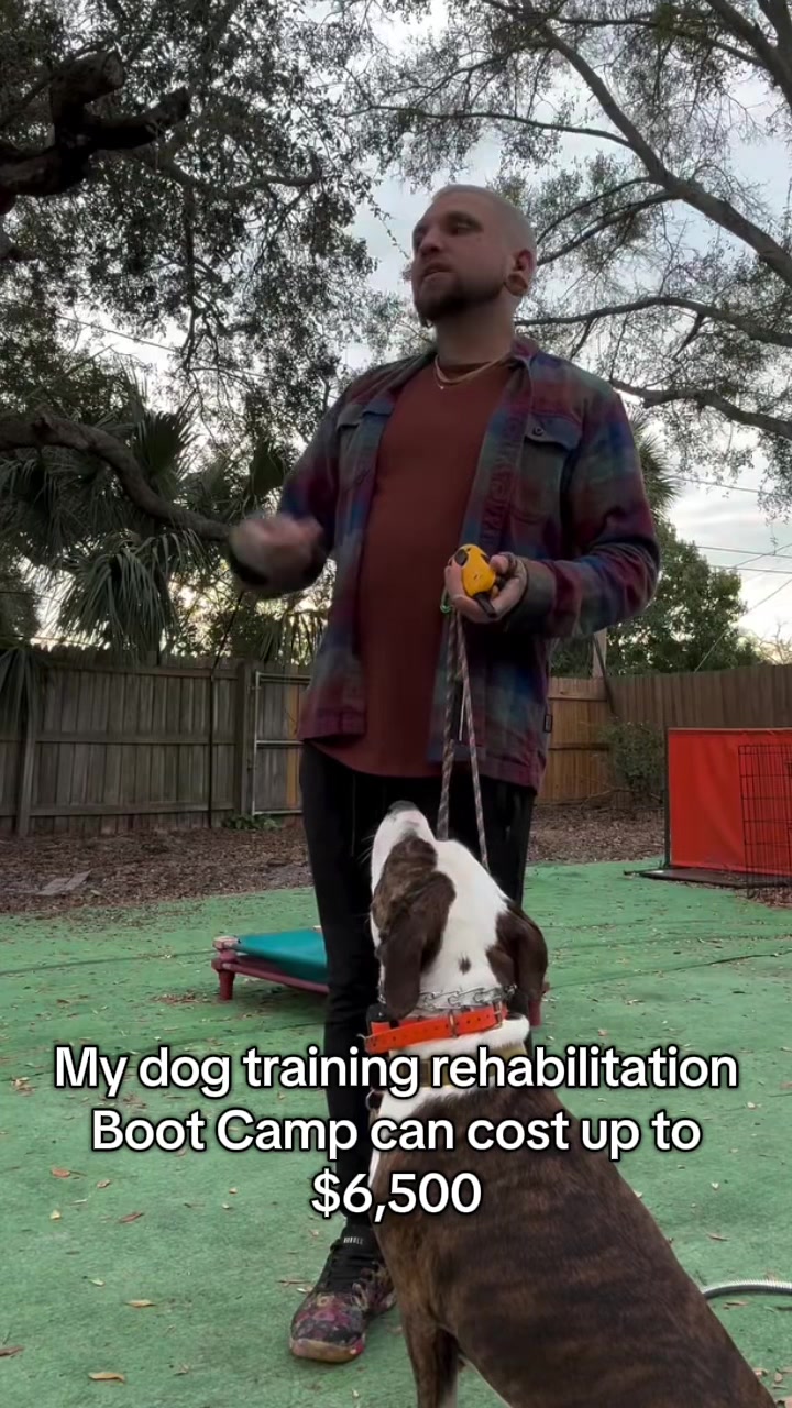@balancedcanineacademy