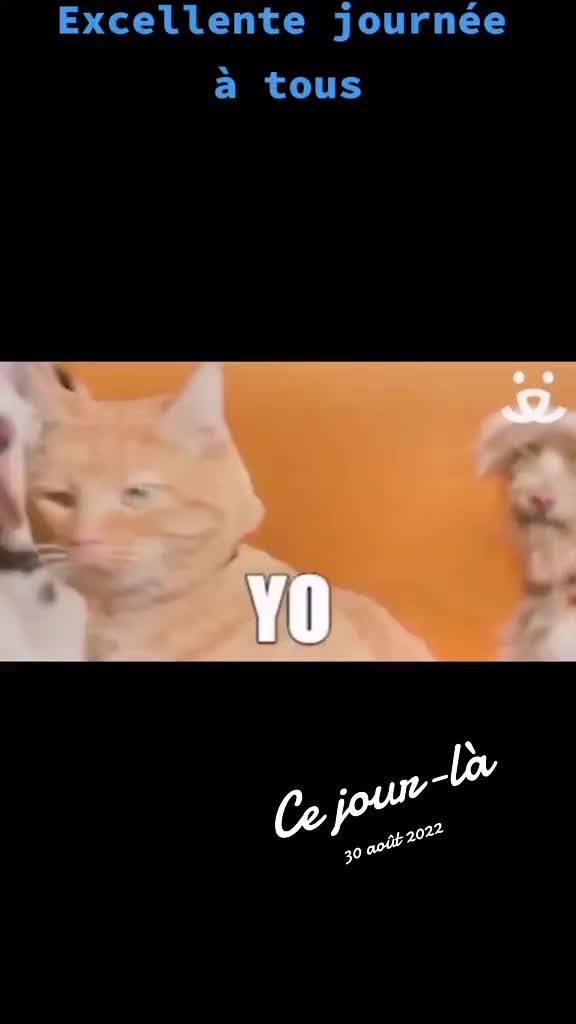 @Dav 54 💫