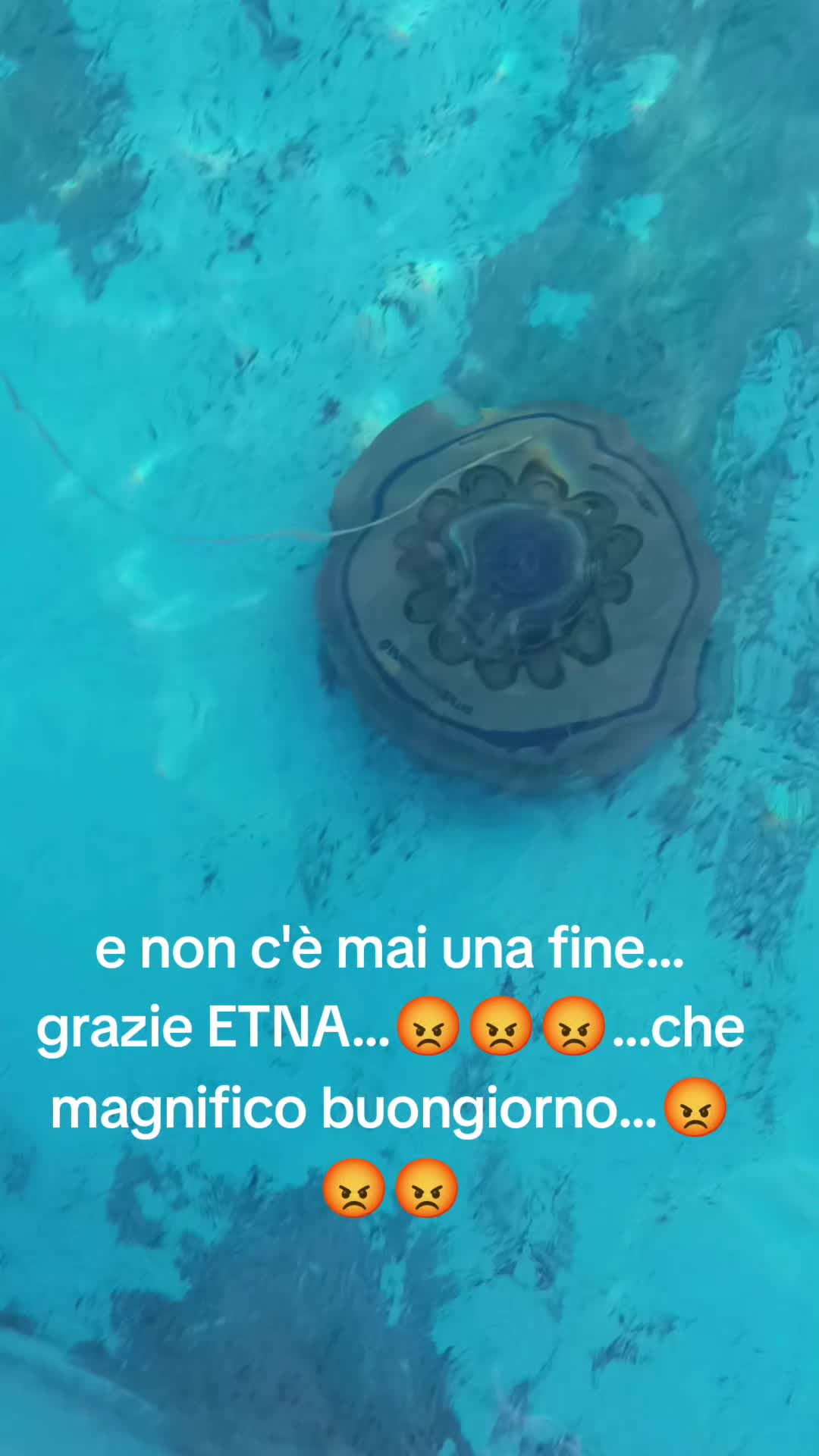 @AnnettaAnnetta