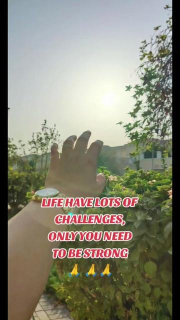 @SOLO_YOLO