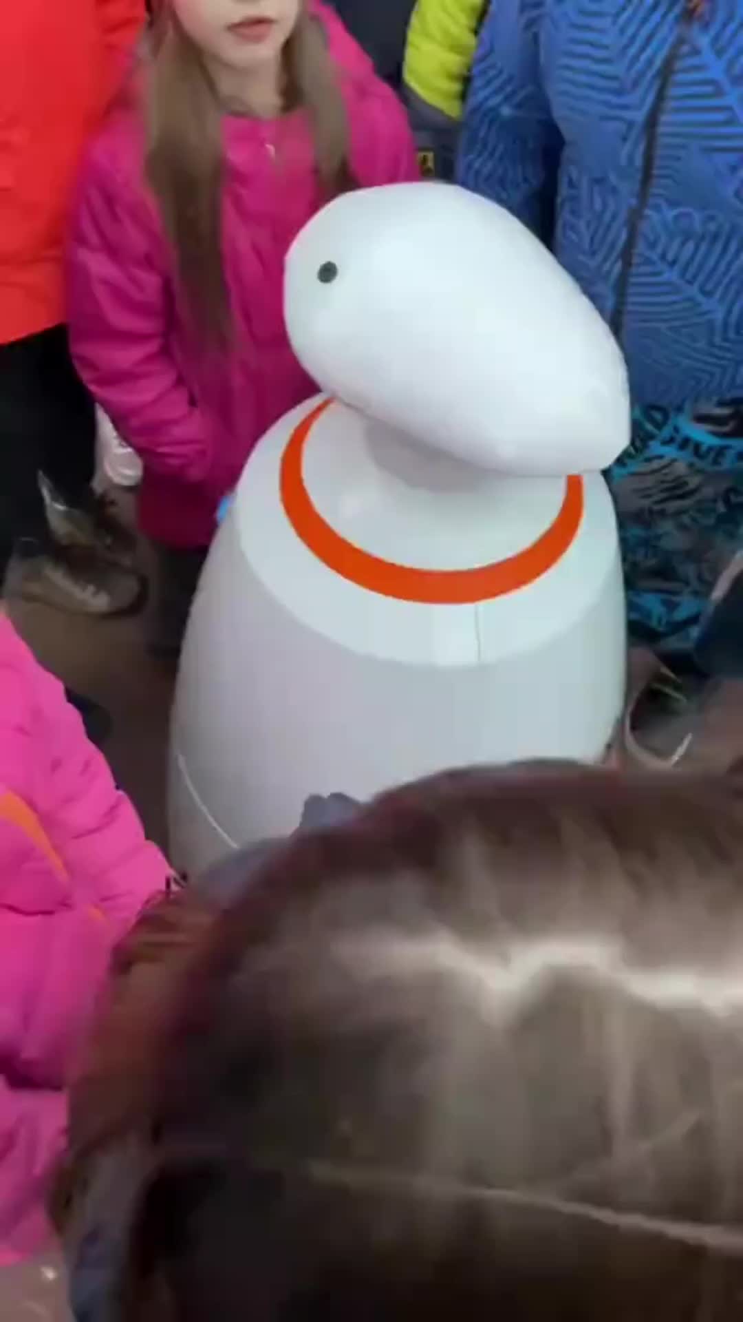 @заяц бурмалдаец