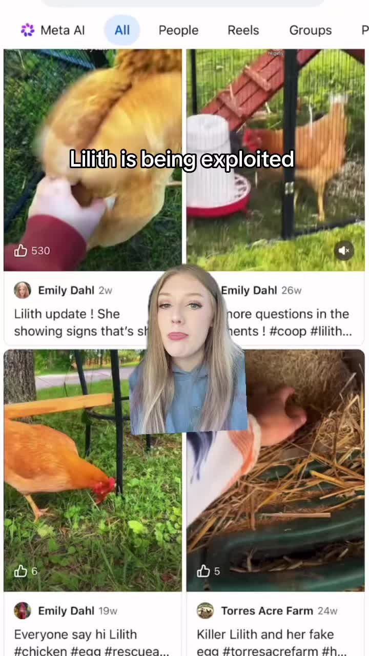 @Emily Dahl