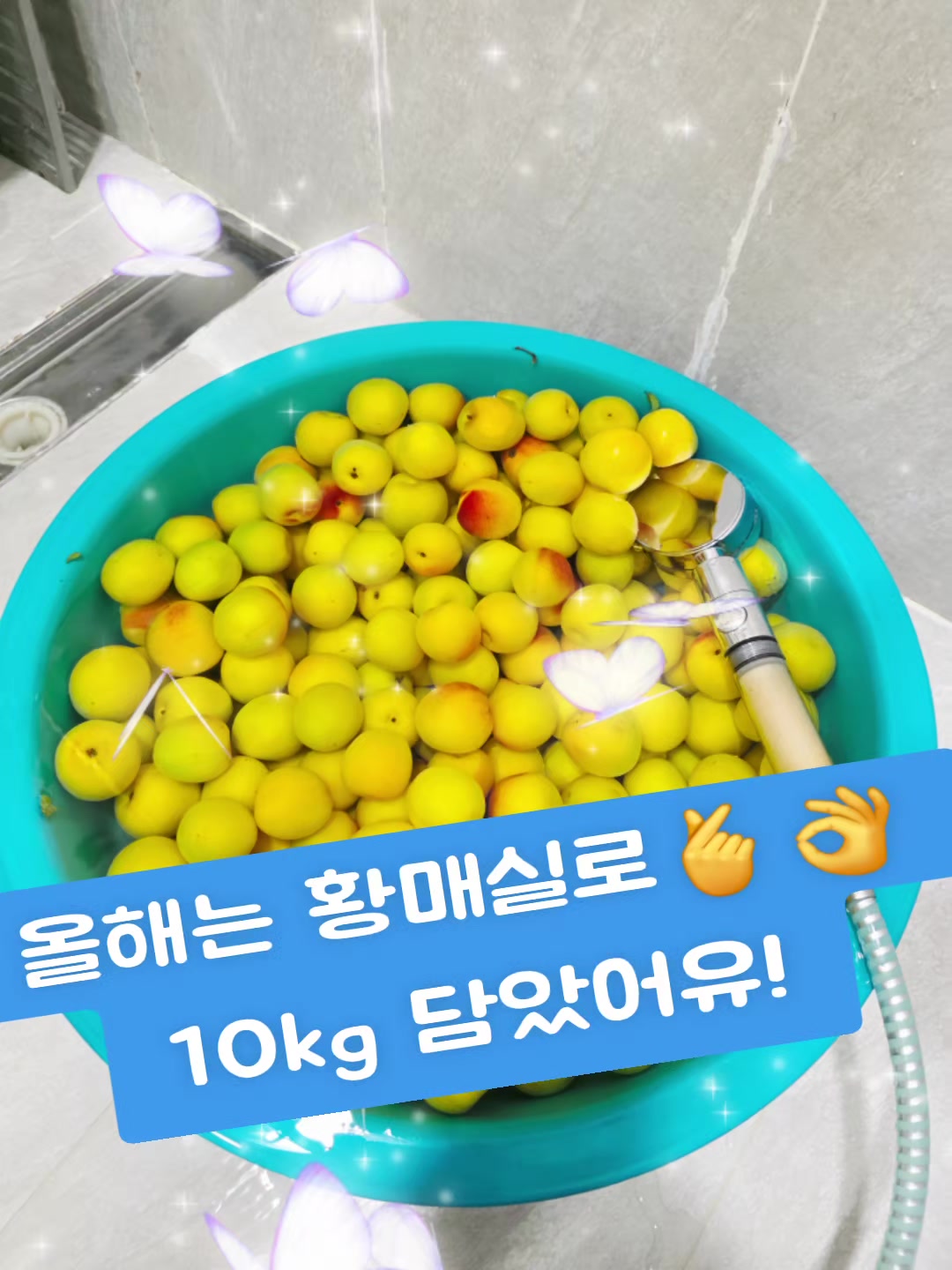 @𓆩✨️🔥인생중년🔥✨️𓆪