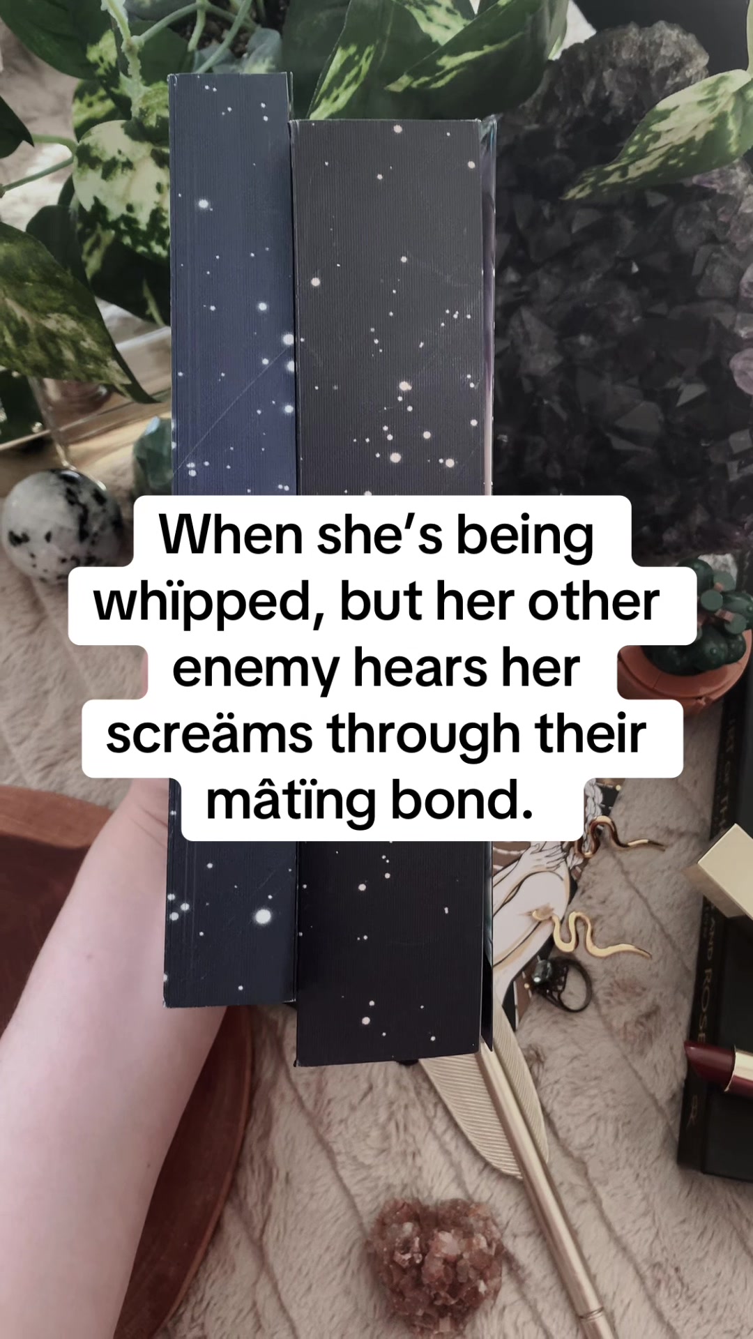 @Daniela A. Mera Books