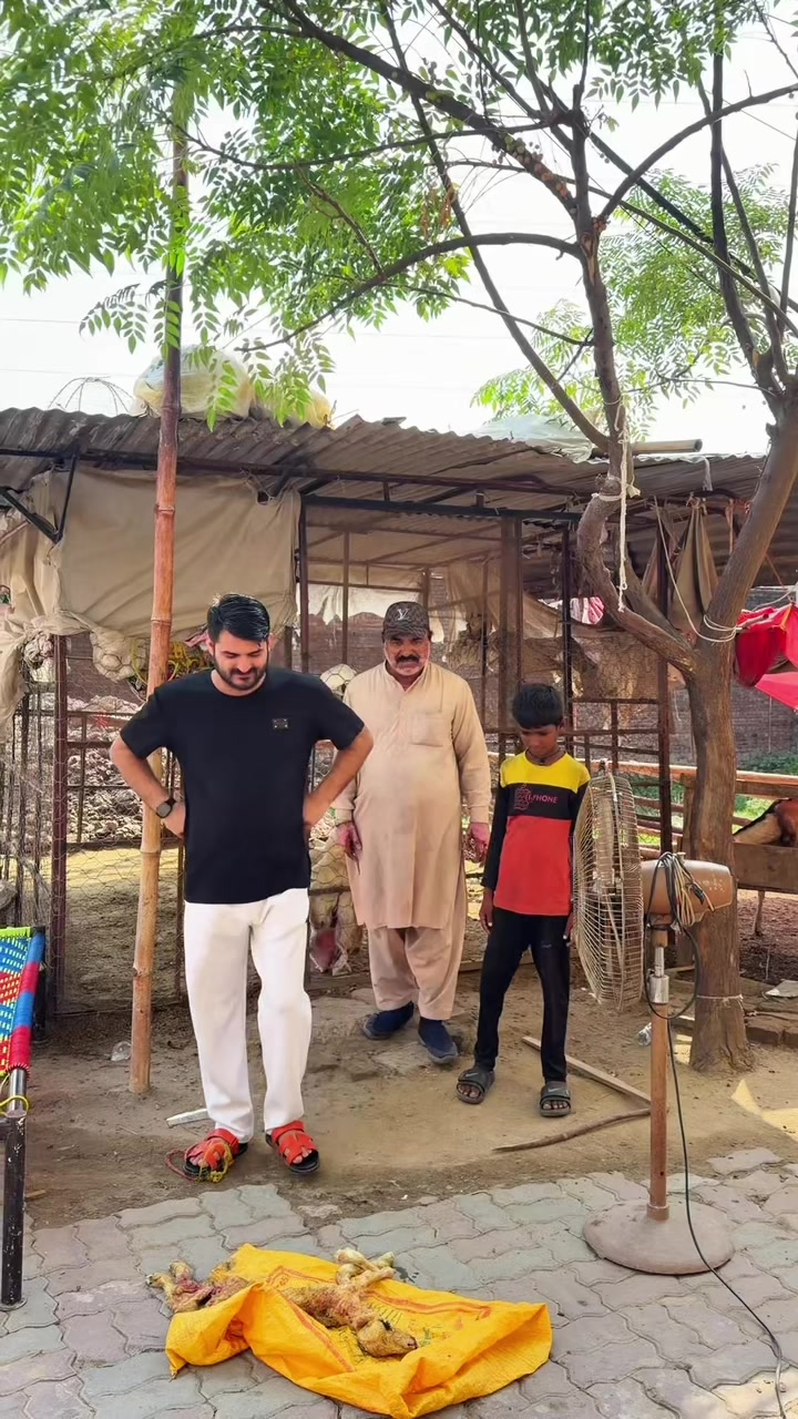 @👑علی بٹ👑