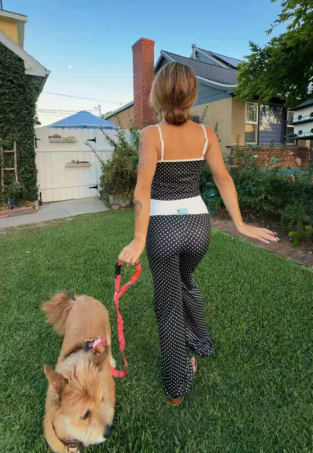 @iggybellyy